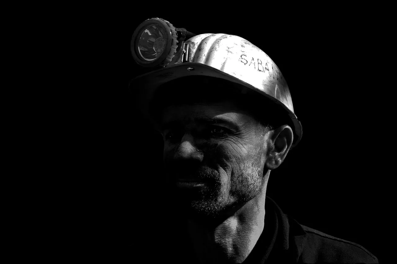 tunaolger miner 1903622 1280
