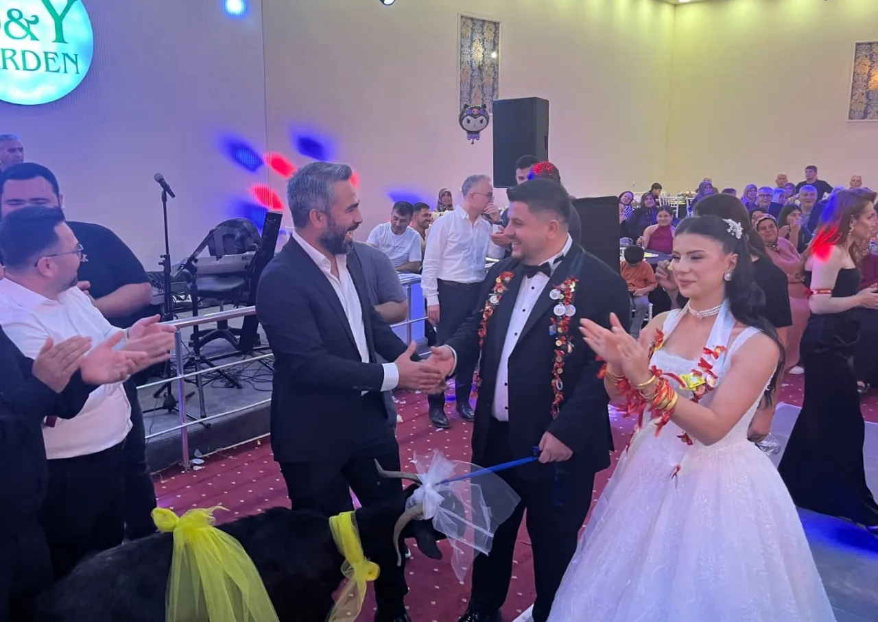 AA 20261002 42629184 42629183 ADANADAKI DUGUNDE GELIN VE DAMADA KECI HEDIYE EDILDI