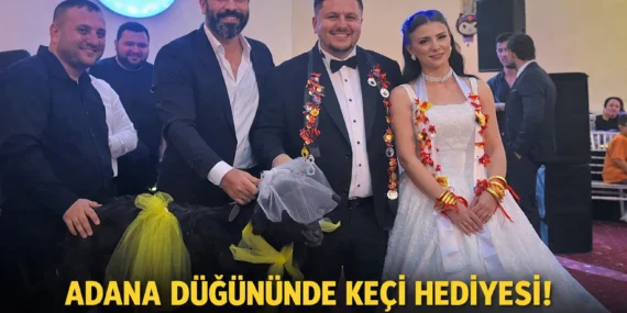 Adana usulü düğün takısı: Damadın arkadaşından evlenen çifte bir adet keçi