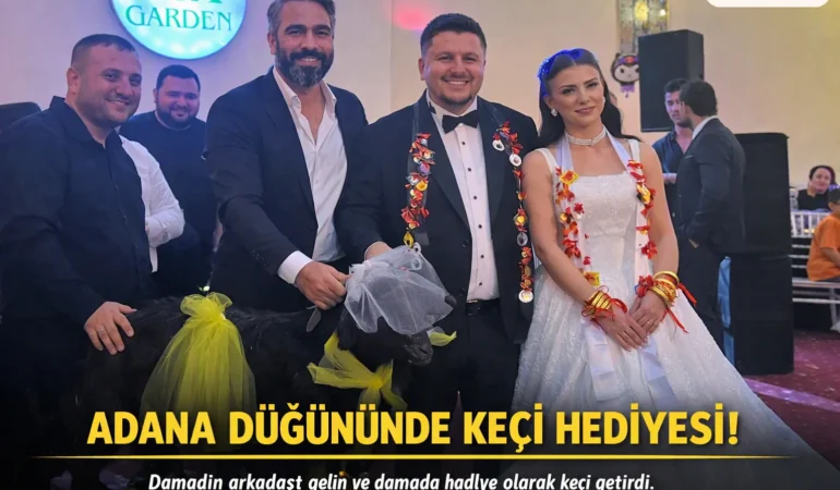 Adana usulü düğün takısı: Damadın arkadaşından evlenen çifte bir adet keçi